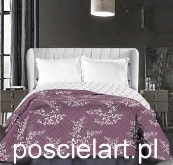 Fiolet
