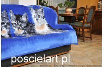 Koc akryl koty niebieskie